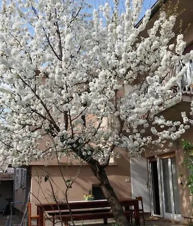 Beautiful 6bd House / Ideal For Larger Grups! *