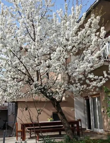 Beautiful 6bd House / Ideal For Larger Grups! *